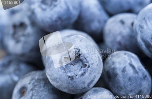 Image of ripe berries blueberry