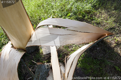 Image of weathered wood broken