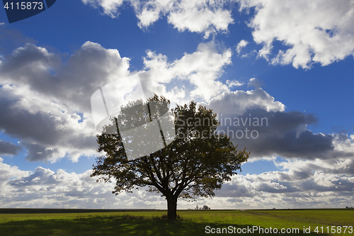 Image of Nature in autumn season