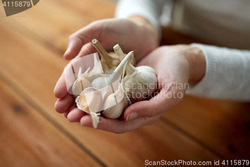 Image of woman hands holding garlic