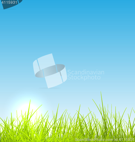 Image of Green fresh grass and blue sky summer background