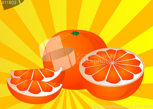 Image of Cut orange illustration