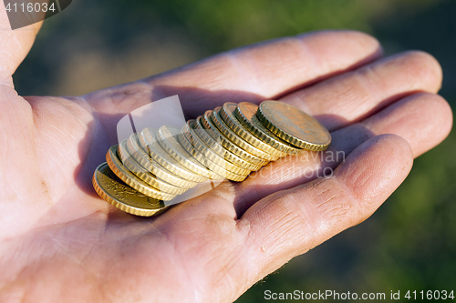 Image of Euro photographed close up