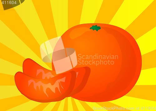 Image of Orange segment illustration