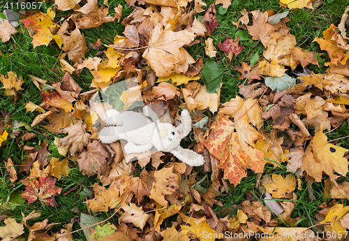 Image of toy rabbit in fallen autumn leaves