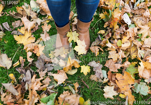 Image of female feet in boots and autumn leaves