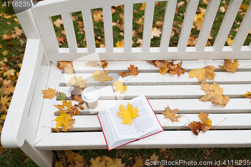 Image of open book and coffee cup on bench in autumn park