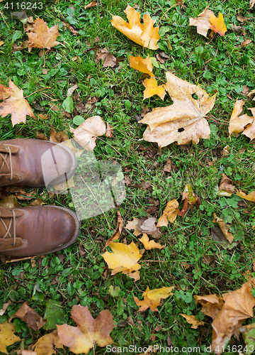 Image of feet in boots and autumn leaves on grass