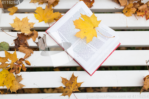 Image of open book on bench in autumn park