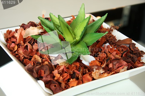Image of Decorative houseplant