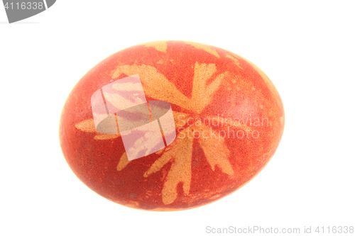 Image of egg colored by plants and onion