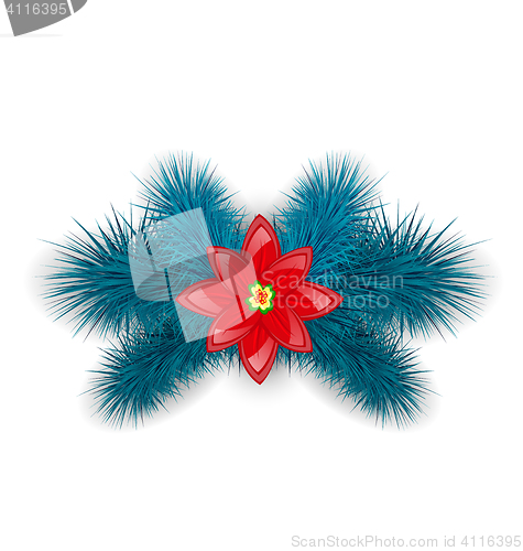 Image of Christmas composition with blue fir twigs and flower poinsettia,