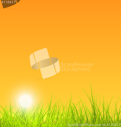 Image of Summer Nature Background with Grass, Sunset