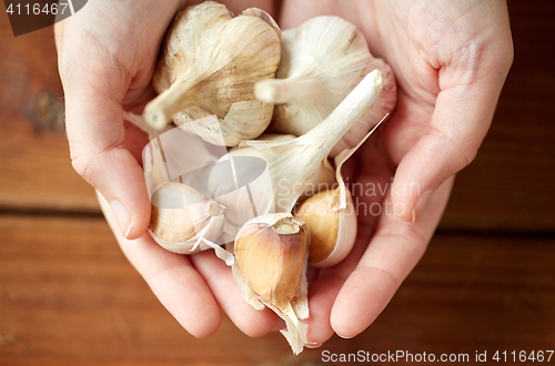 Image of woman hands holding garlic