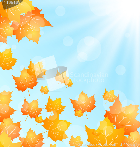 Image of Autumn Background with Flying Maple