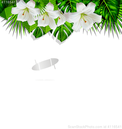 Image of Frame branch tropical leaves and white flowers lily