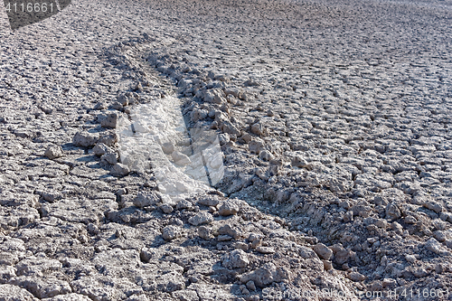 Image of Furrow in dried soil