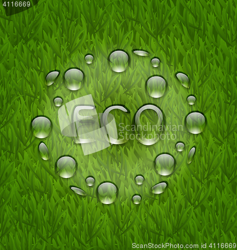Image of Eco friendly background with water drops on fresh green grass te