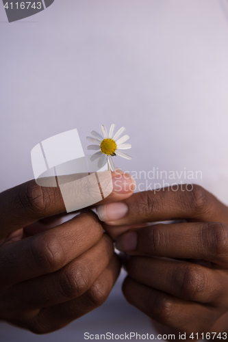 Image of portrait of African American girl with a flower in her hand