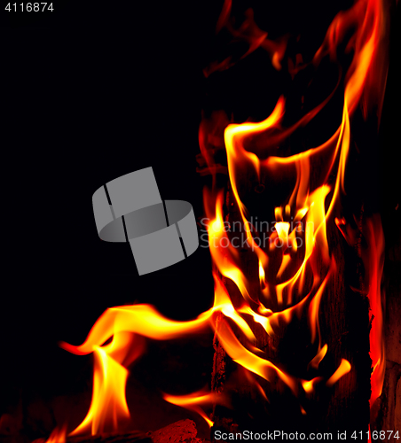 Image of Flame on black background