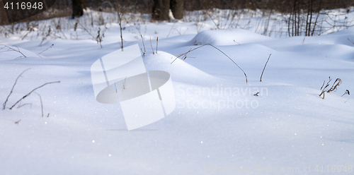 Image of Snowdrift in winter forest