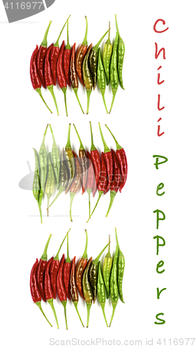 Image of Collection of Chili Peppers