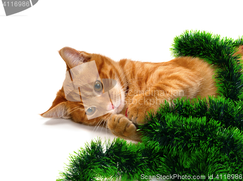 Image of Red-headed kitten lying on its side and play with Christmas deco