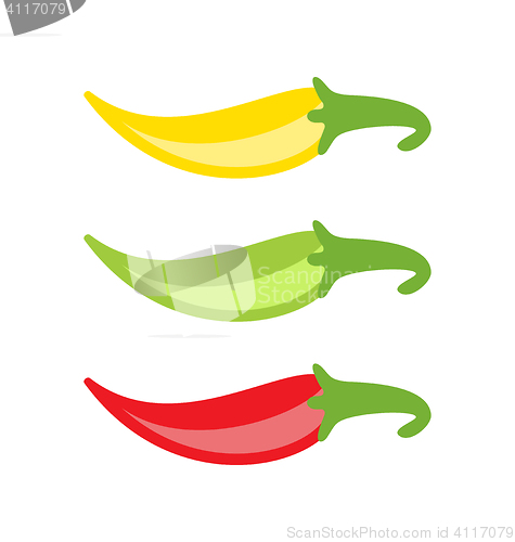 Image of Colorful Chilli Peppers Isolated