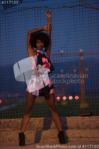 Image of portrait of a young African-American woman in a summer dress