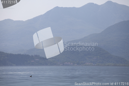 Image of Skadar lake, Montenegro