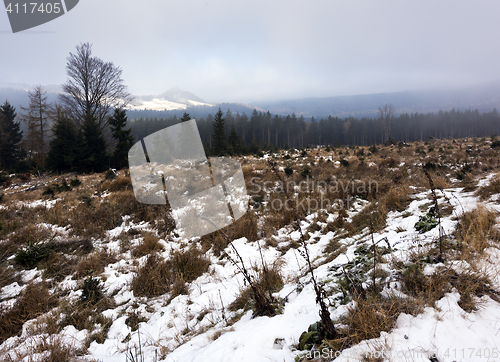 Image of Winter landscape