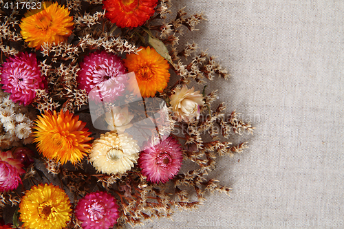 Image of dried flowers background