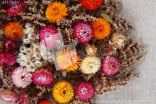 Image of dried flowers background