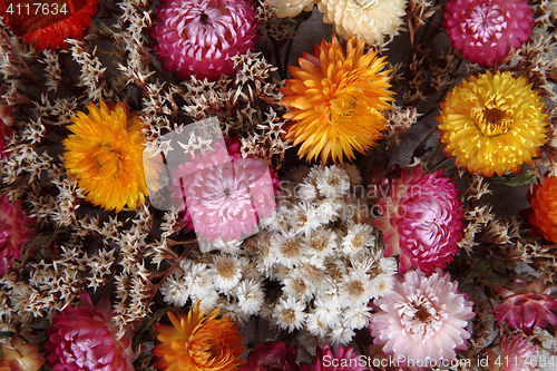 Image of dried flowers background