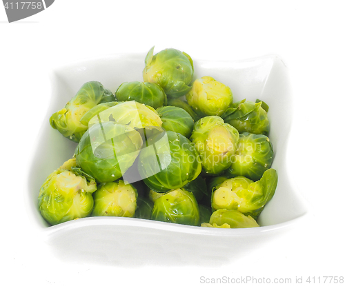 Image of White designer bowl with fresh green brussels sprout isolated on