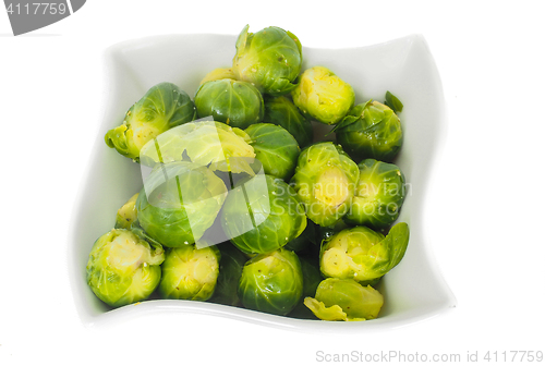 Image of White designer bowl with fresh green brussels sprout isolated on