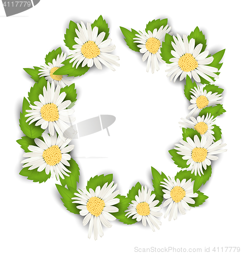 Image of Round Frame Made in Chamomile Flowers