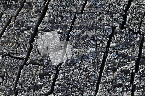 Image of Burnt wood texture