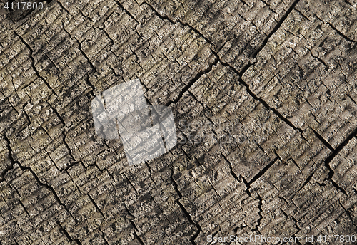 Image of Abstract cracked wood  