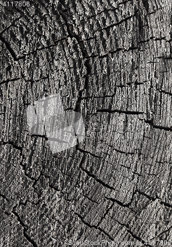 Image of Abstract cracked wood  