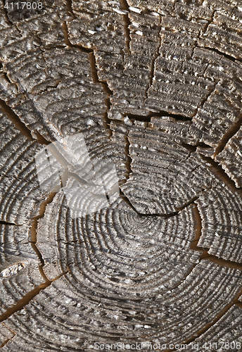 Image of Abstract cracked wood  