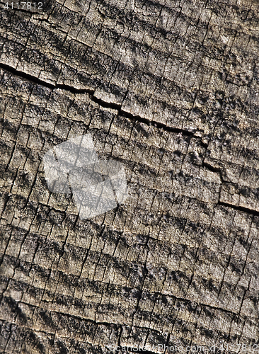 Image of Abstract cracked wood  