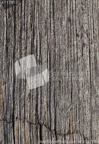 Image of Abstract cracked wood  