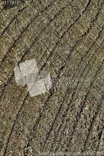 Image of Abstract cracked wood  