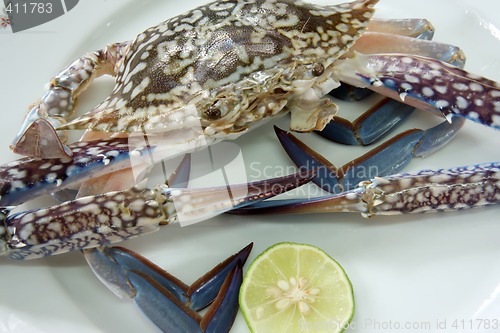 Image of Fresh crab