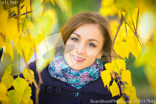 Image of Portrait of the girl in the yellow foliage of trees