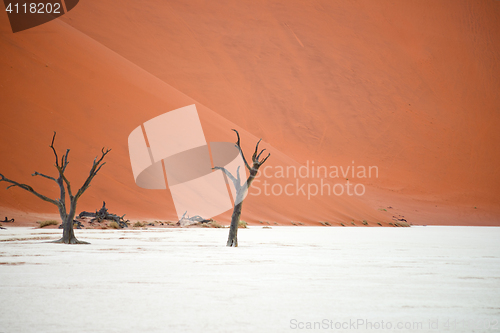 Image of Sossusvlei, Namibia