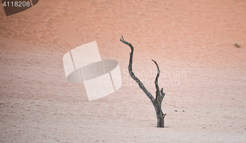 Image of Sossusvlei, Namibia