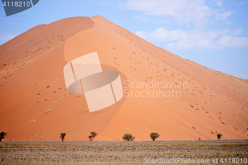 Image of sand dune