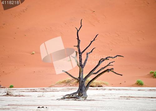 Image of Sossusvlei, Namibia